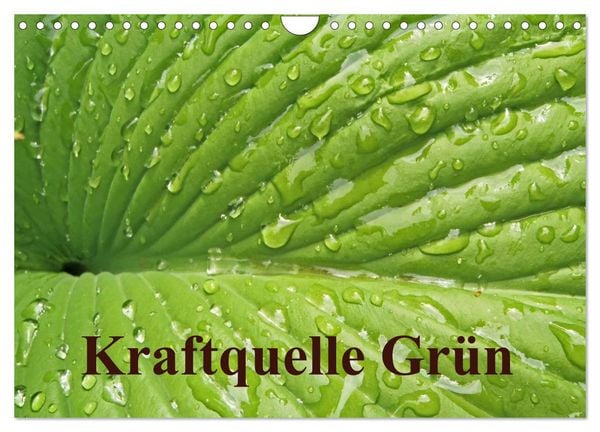 Produktbild: Kraftquelle Gr&uuml;n (Wandkalender 2026 DIN A4 quer), CALVENDO Monatskalender