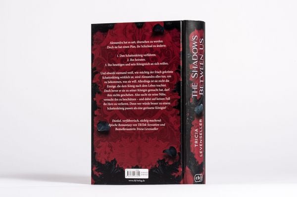 Produktbild: The Shadows Between Us
