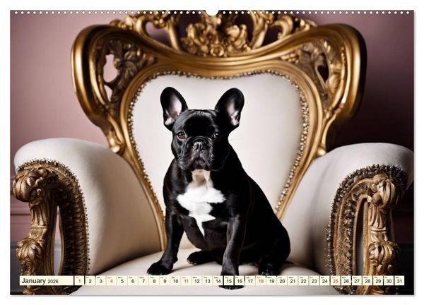 Produktbild: Little kings - French Bulldogs (Wall Calendar 2026 DIN A2 landscape), CALVENDO 12 Month Wall Calendar