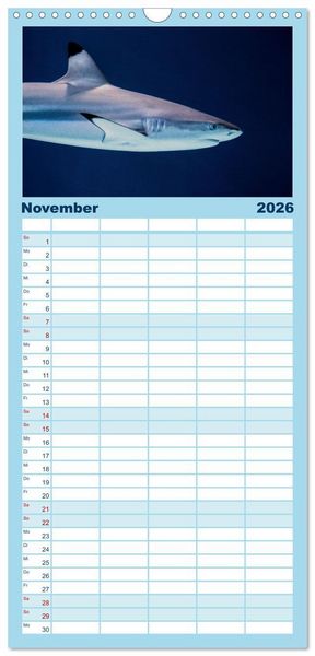 Produktbild: Familienplaner 2026 - Haie - K&ouml;nige der Meere. mit 5 Spalten (Wandkalender, 21 x 45 cm) CALVENDO