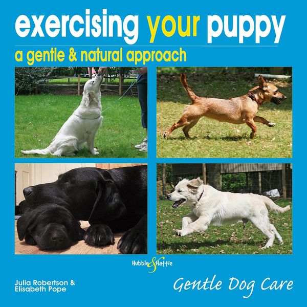 Produktbild: Exercising your puppy: a gentle & natural approach