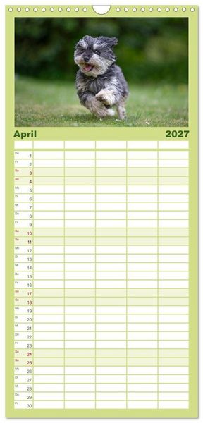 Produktbild: Familienplaner 2027 - Hunde Action mit 5 Spalten (Wandkalender, 21 x 45 cm) CALVENDO