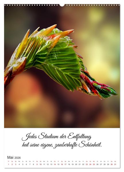 Produktbild: Die Erfahrung des Lebendigseins (Wandkalender 2026 DIN A2 hoch), CALVENDO Monatskalender