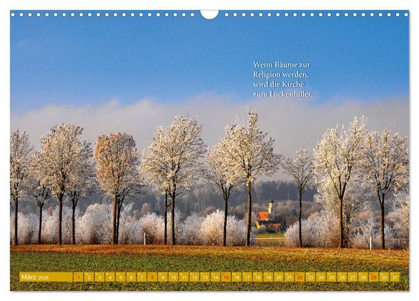 Produktbild: Rollentausch &ndash; Bebilderte Wortspielereien (Wandkalender 2026 DIN A3 quer), CALVENDO Monatskalender