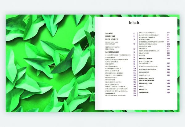 Produktbild: Zimmerpflanzen aus der Papierwerkstatt