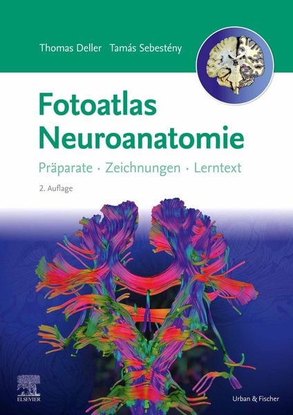 Produktbild: Fotoatlas Neuroanatomie