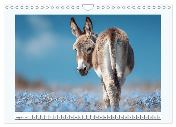 Produktbild: Sanfte Eselpoesie. Momente zwischen Bergwelt und Meer (Wandkalender 2027 DIN A4 quer), CALVENDO Monatskalender