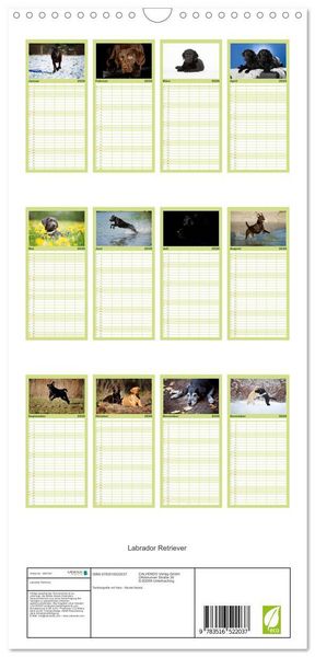 Produktbild: Familienplaner 2026 - Labrador Retriever mit 5 Spalten (Wandkalender, 21 x 45 cm) CALVENDO
