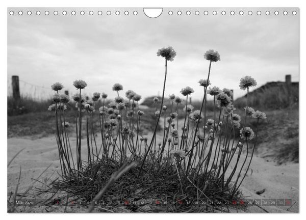 Produktbild: 54&deg;54'57"N 8&deg;19'51"E SYLT (Wandkalender 2026 DIN A4 quer), CALVENDO Monatskalender