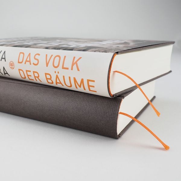 Produktbild: Das Volk der B&auml;ume