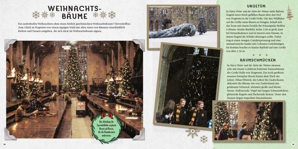 Produktbild: Harry Potter: Weihnachten in der Zauberwelt - Das Handbuch zu den Filmen