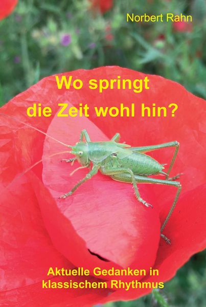 Produktbild: Wo springt die Zeit wohl hin?