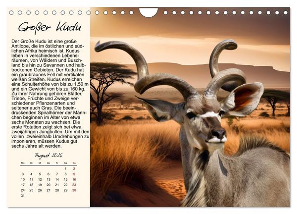 Produktbild: Majest&auml;tische Horntr&auml;ger (Wandkalender 2026 DIN A4 quer), CALVENDO Monatskalender