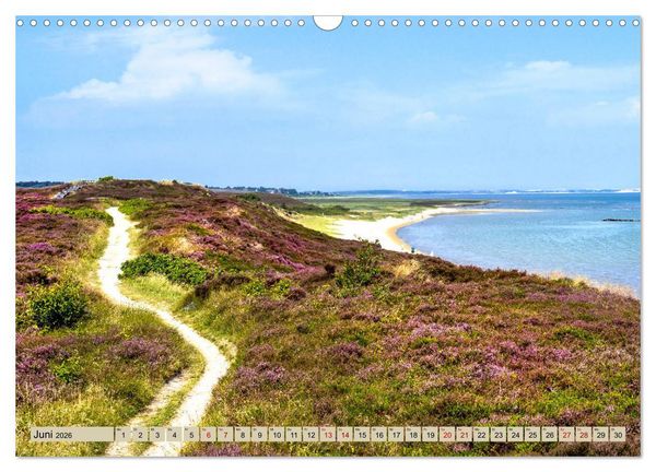 Produktbild: SYLT D&uuml;nenwege (Wandkalender 2026 DIN A3 quer), CALVENDO Monatskalender