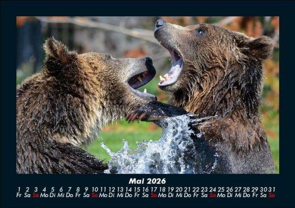 Produktbild: Tierkalender 2026 Fotokalender DIN A5