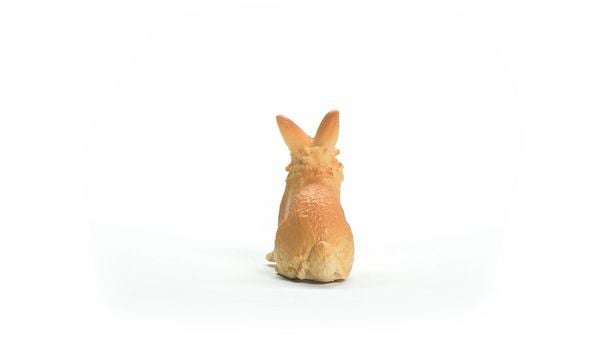 Produktbild: schleich&reg; Farm World L&ouml;wenkopfkaninchen 4,5cm