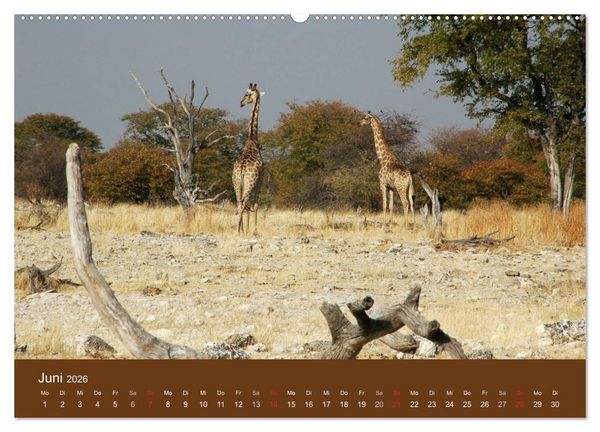 Produktbild: Namibia - faszinierende Menschen und Tiere (Wandkalender 2026 DIN A2 quer), CALVENDO Monatskalender