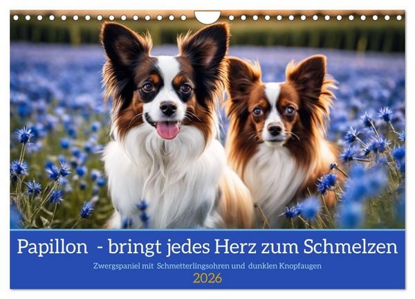 Produktbild: Papillon - bringt jedes Herz zum Schmelzen (Wandkalender 2026 DIN A4 quer), CALVENDO Monatskalender