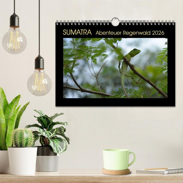 Produktbild: SUMATRA Abenteuer Regenwald (Wandkalender 2026 DIN A4 quer), CALVENDO Monatskalender