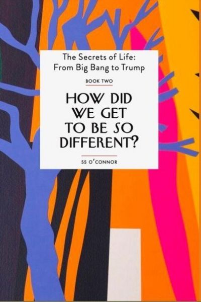 Produktbild: How Did We Get To be So Different?