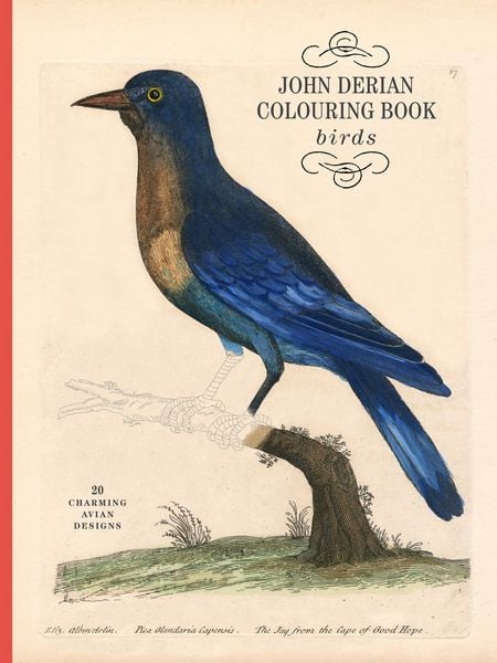 Produktbild: John Derian Colouring Book: Birds