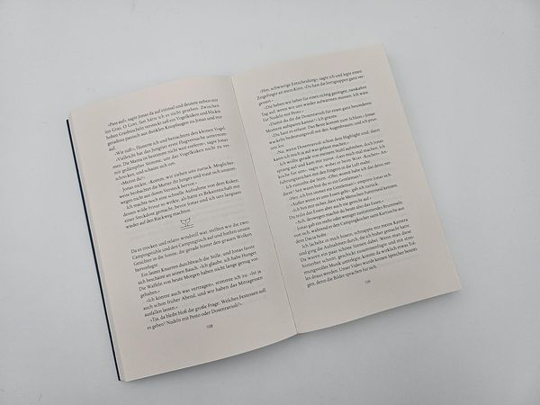 Produktbild: A Glimpse of Northern Lights