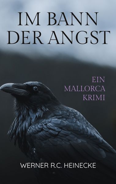 Produktbild: Im Bann der Angst