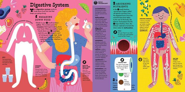 Produktbild: The Interactive Human Body