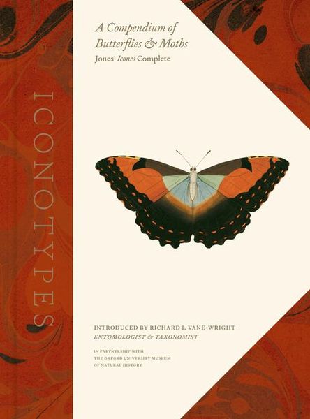 Produktbild: Iconotypes