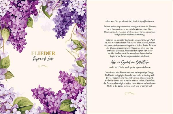 Produktbild: Die geheimnisvollen Botschaften der Blumen