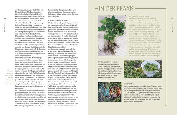 Produktbild: Die "Unkr&auml;uter" in meinem Garten