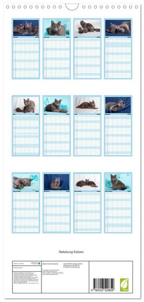 Produktbild: Familienplaner 2026 - Nebelung Katzen mit 5 Spalten (Wandkalender, 21 x 45 cm) CALVENDO