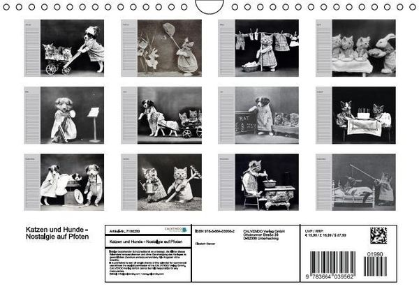 Produktbild: Katzen und Hunde - Nostalgie auf Pfoten (Wandkalender immerw&auml;hrend DIN A4 quer)