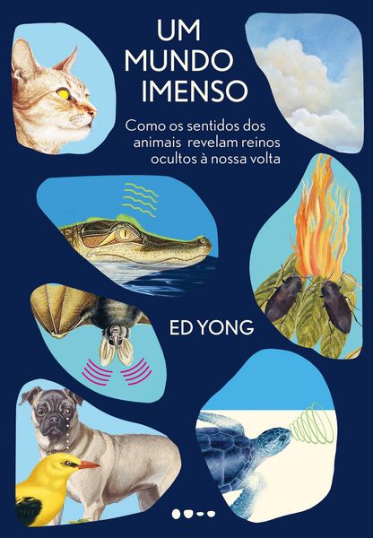 Produktbild: Um mundo imenso
