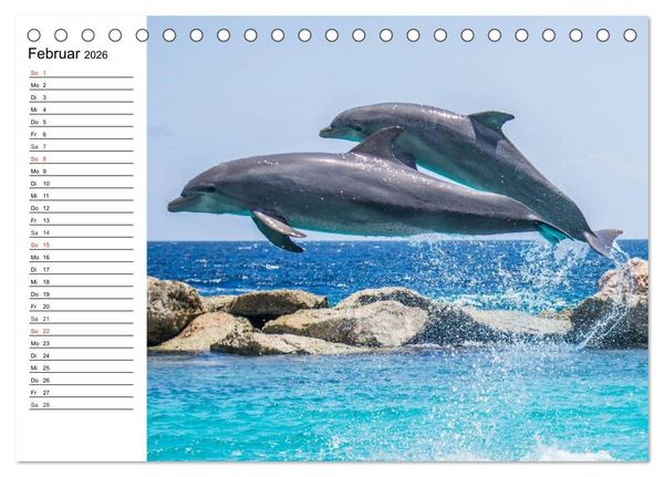 Produktbild: Delfine - L&auml;chelnde Intelligenz (Tischkalender 2026 DIN A5 quer), CALVENDO Monatskalender
