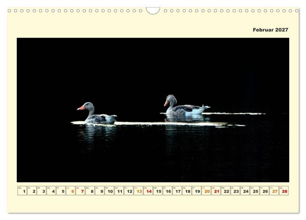Produktbild: Tierwelt der W&uuml;mmeniederung (Wandkalender 2027 DIN A3 quer), CALVENDO Monatskalender