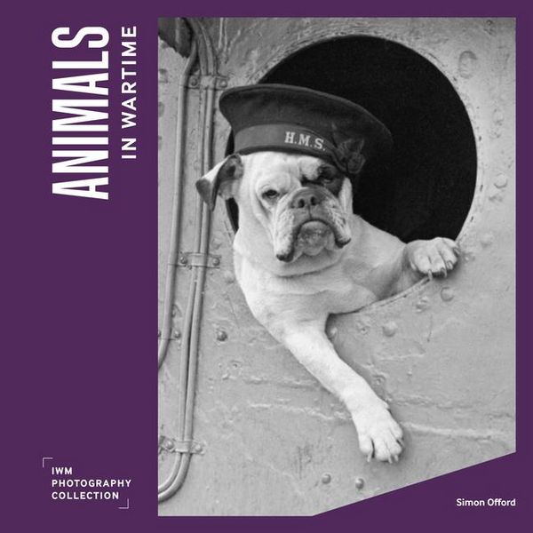 Produktbild: Animals in Wartime