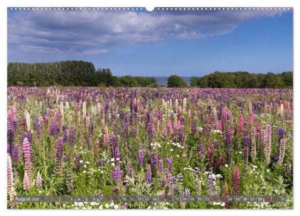 Produktbild: Bornholm Juwel der Ostsee (Wandkalender 2026 DIN A2 quer), CALVENDO Monatskalender