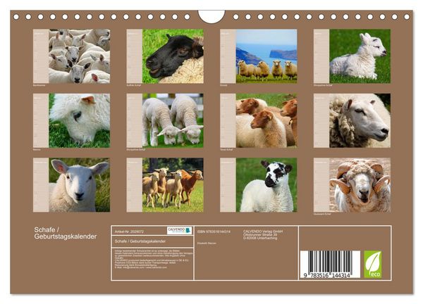 Produktbild: Schafe / Geburtstagskalender (Wandkalender 2026 DIN A4 quer), CALVENDO Monatskalender