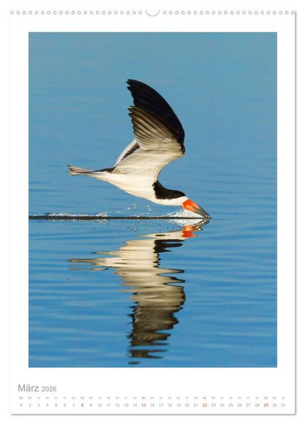 Produktbild: Pantanal &ndash; Einzigartiges Wildlife-Paradies (hochwertiger Premium Wandkalender 2026 DIN A2 hoch), Kunstdruck in Hochglanz