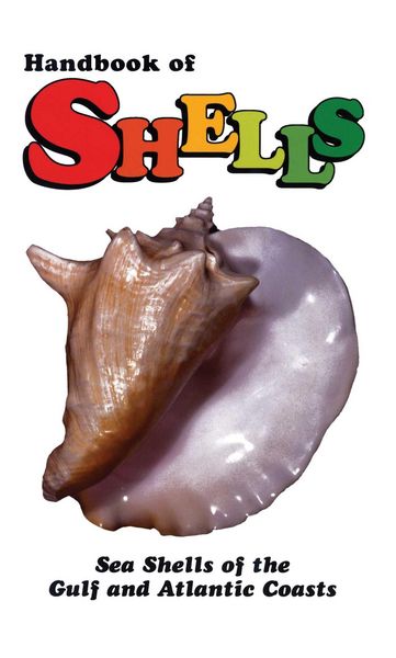 Produktbild: Handbook of Shells