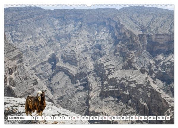 Produktbild: Oman - Perle des Orients (hochwertiger Premium Wandkalender 2026 DIN A2 quer), Kunstdruck in Hochglanz