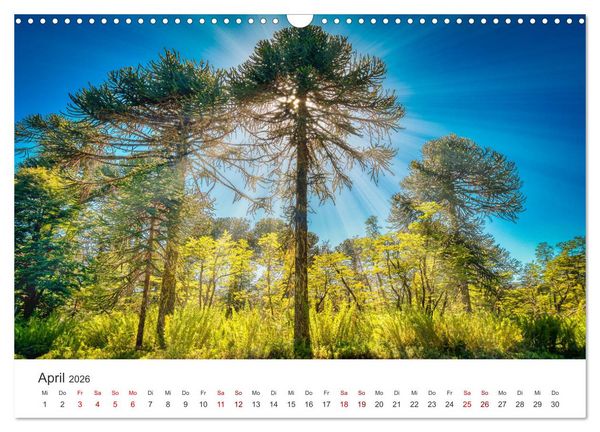 Produktbild: Chile - Das langgestreckte Land. (Wandkalender 2026 DIN A3 quer), CALVENDO Monatskalender