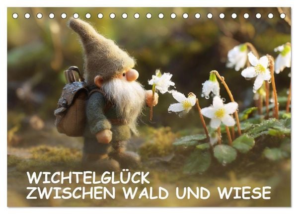 Produktbild: Wichtelgl&uuml;ck zwischen Wald und Wiese (Tischkalender 2027 DIN A5 quer), CALVENDO Monatskalender