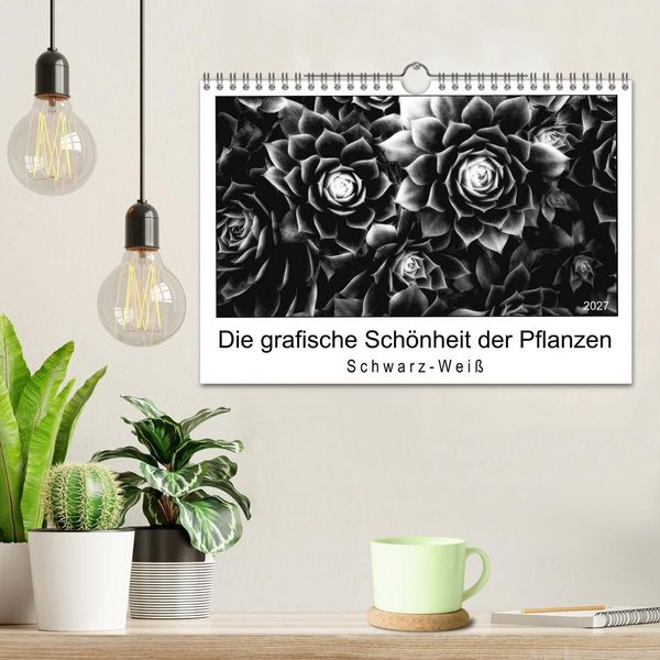 Produktbild: Die grafische Sch&ouml;nheit der Pflanzen &ndash; Schwarz-Wei&szlig; (Wandkalender 2027 DIN A4 quer), CALVENDO Monatskalender