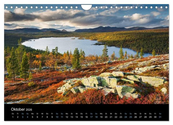Produktbild: Wildes Europa 2026 (Wandkalender 2026 DIN A4 quer), CALVENDO Monatskalender