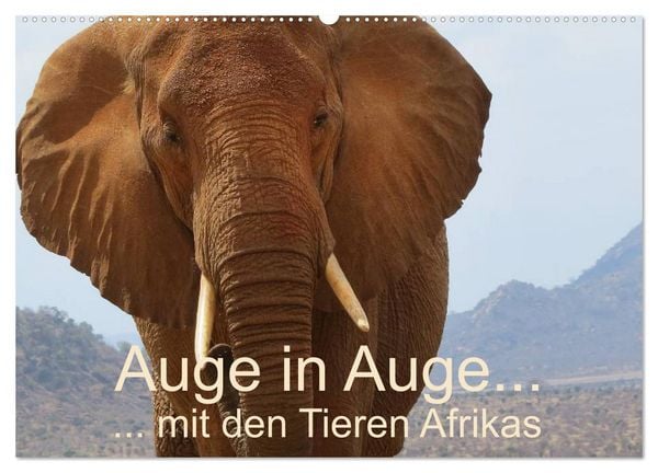 Produktbild: Auge in Auge mit den Tieren Afrikas (Wandkalender 2026 DIN A2 quer), CALVENDO Monatskalender