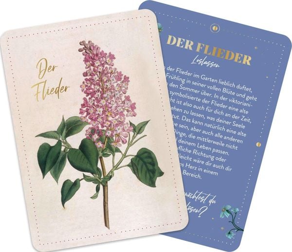 Produktbild: Die geheimnisvolle Sprache der Blumen &ndash; 50 Orakelkarten f&uuml;r das ganze Jahr