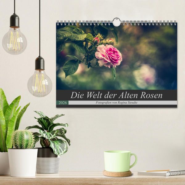 Produktbild: Die Welt der Alten Rosen (Wandkalender 2026 DIN A4 quer), CALVENDO Monatskalender