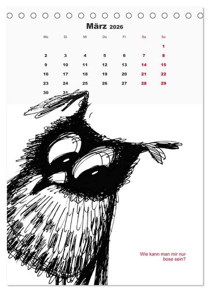 Produktbild: Vor dem Spiegel 2026 (Tischkalender 2026 DIN A5 hoch), CALVENDO Monatskalender
